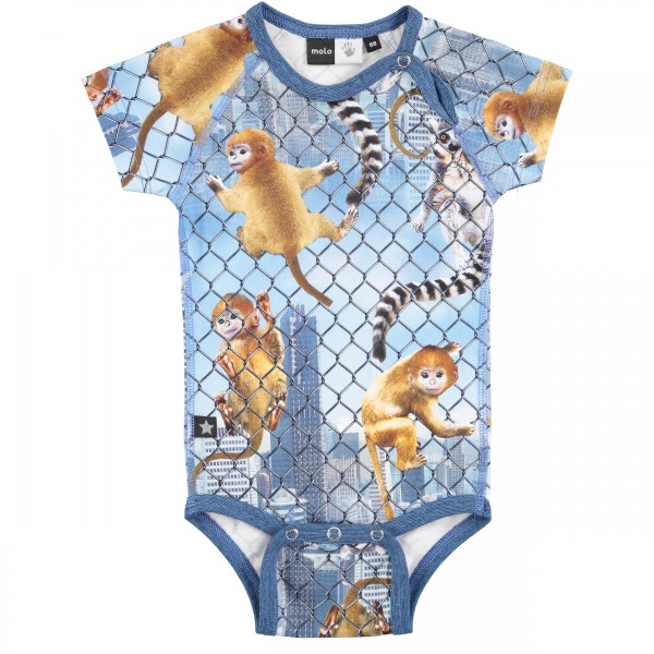 Feodor Climbing Monkeys body | MOLO